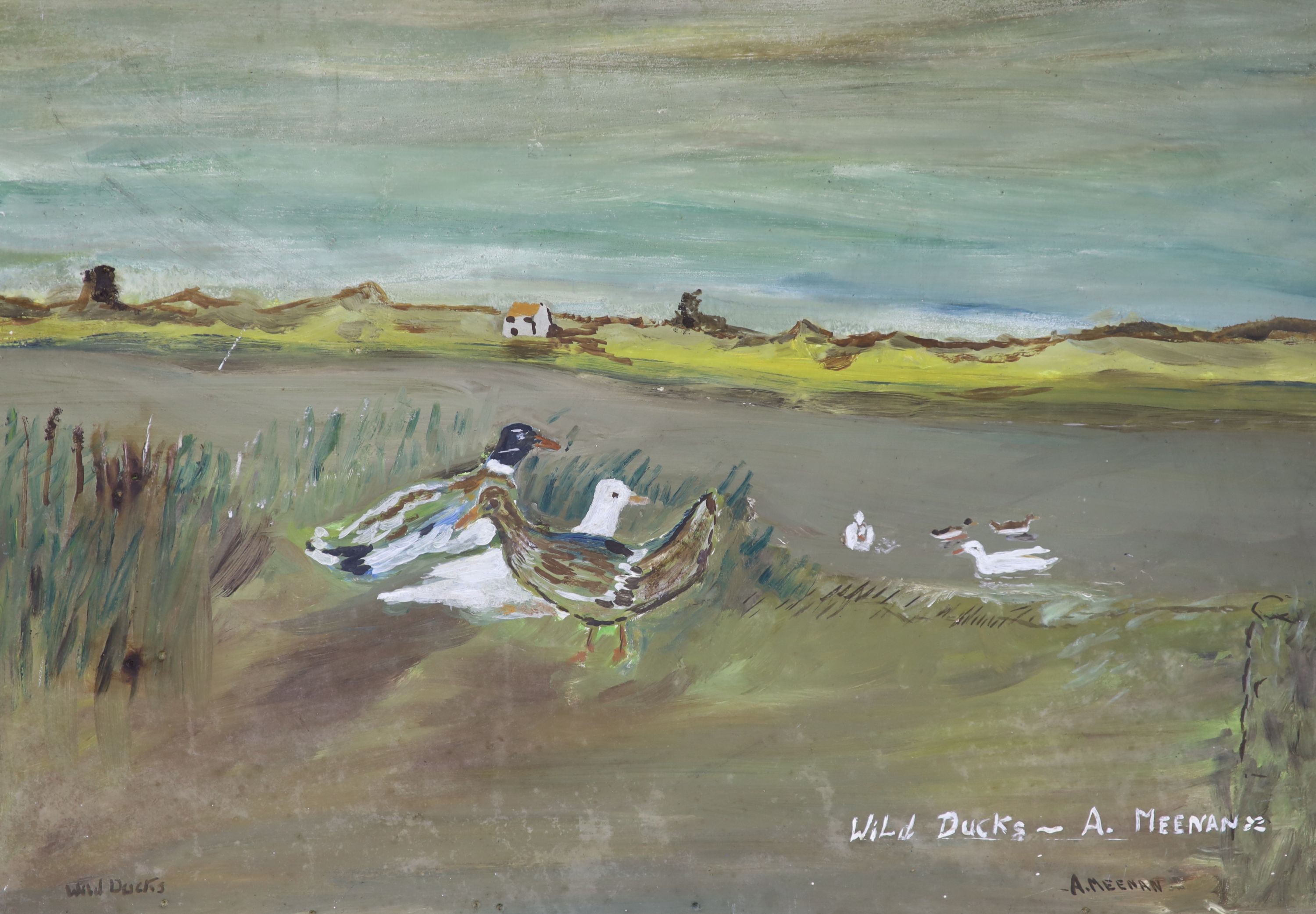 Anton Meenan (Irish, 1959-), oil on board, Wild Ducks, signed, 54 x 78cm.